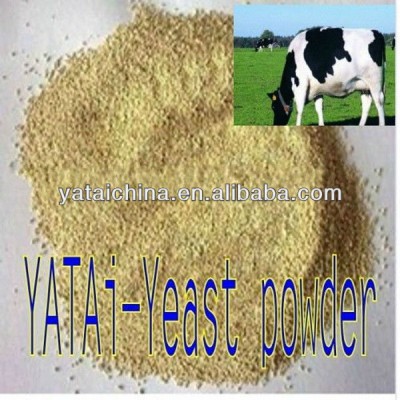 cow feeds dairy cattle feeds high protein feeds