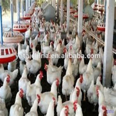 chicken feed fattening feed 45% protein animal feed